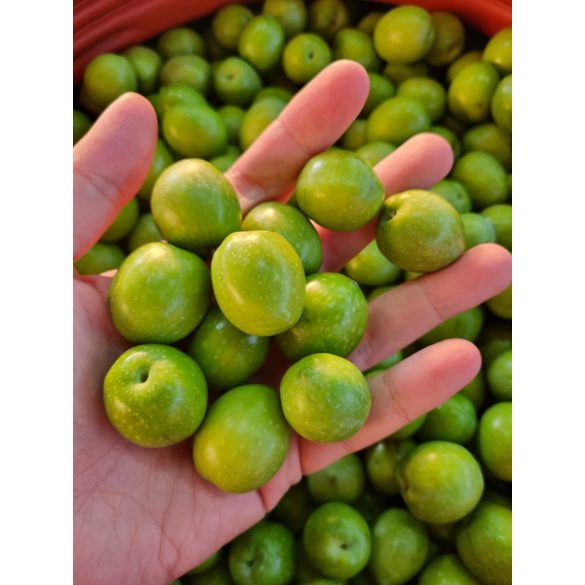 Szicíliai zöld Nocellara olívabogyó, Tenute Seidita, 160g