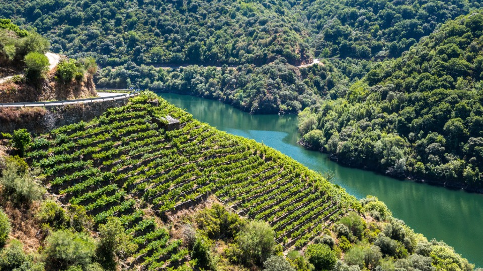 Ribeira Sacra
