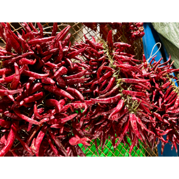 Szárított pirospaprika