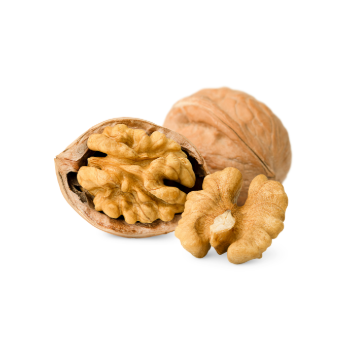 Friss dió, diókrém készítéshez