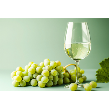 Muscadet bor