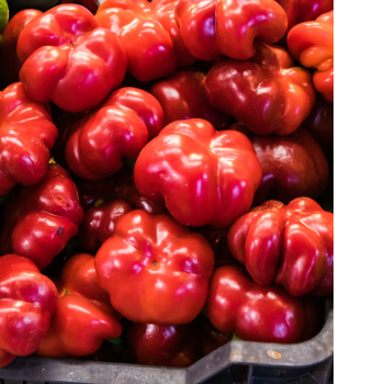 Prémium pritamin paprika