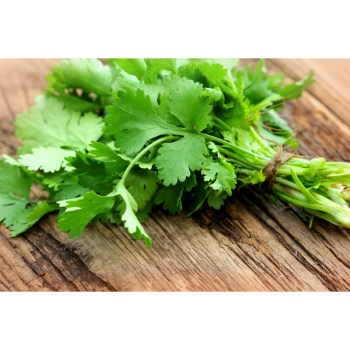 Friss koriander