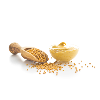 Dijoni mustár makrélafilé tartósításához