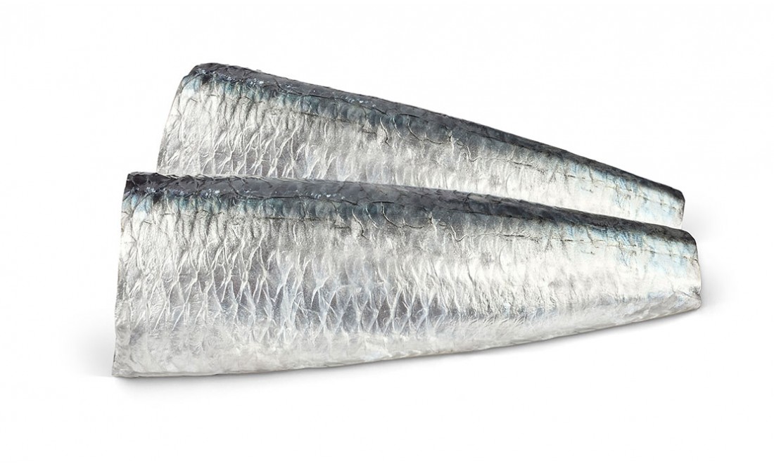 Prémium szardínia hal közeli fotója