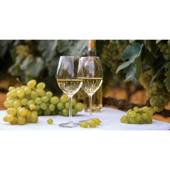 Muscadet, a franciaországi Loire-vidék fehérbora